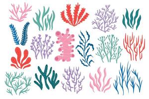 Sea corals. Tropical underwater flora and fauna, colorful coral reef collection of various shapes, exotic marine botany backdrop for sticker design. Vector set