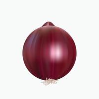 realistic violet onion vector