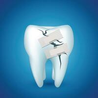 tooth on blue ill vector