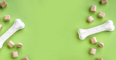 Treats for dogs on a light green background. photo