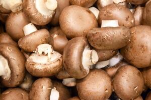 Lots of mushrooms on the market counter. photo