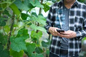 agriculture and modern technology Farmer using smart farming technologies using AI Check the growth of vegetables and fruits with smart farm technology photo