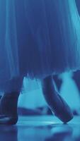 Close up of a ballet dancer's feet as she corrects pointe on the stone embankment. Woman's feet in pointe shoes. Ballerina preparing for classic ballet pas. Vertical format for the phone. video