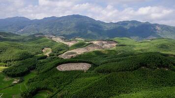 Drone Reveals Deforestation in Verdant Mountains photo