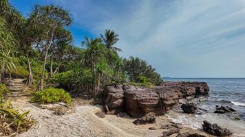 Tropical Serenity, Sunlit Beach Oasis photo