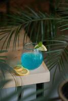 blue and red cocktails with lime for summer drinks photo