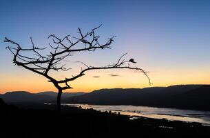 Sunrise over mountain with silhouette tree photo