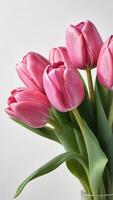 AI generated Photo Of Pink Tulips Bouquet Isolated On White Background. AI Generated