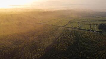 Aerial view of High voltage grid tower with wire cable at tree forest with fog in early morning. Colorful landscape with woods in fog, sunbeams, sky, forest in winter morning. photo