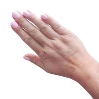 Female hand with a manicure of pink polish isolated on a white background. photo