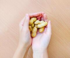 Close up of hands holding group of raw peanuts in shell. photo