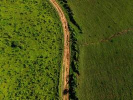 Beautiful landscape on dirt road to the top of Doi Mae Tho, Chiang Mai, Thailand. Famous tourist attractions in Thailand. photo