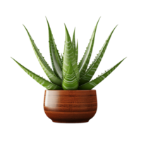 AI generated Aloe vera plant in pot transparent background png