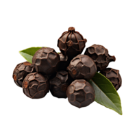 AI generated Black Cubeb Pepper isolated on transparent background png