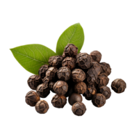 ai gegenereerd zwart cubeb peper geïsoleerd Aan transparant achtergrond png