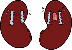 cartoon kidneys crying png