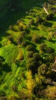 Hamlet Siderno Superiore Aerial Before Sunset In Calabria, Vertical video