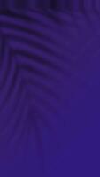 Dark Leaf Shadow Gradient Verticle background, Dark Violet background video