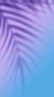 pink and Blue Leaf Shadow Gradient Verticle background, Light gradient background video