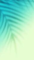 lucht blauw en groen blad schaduw helling verticaal achtergrond, licht groen helling achtergrond video