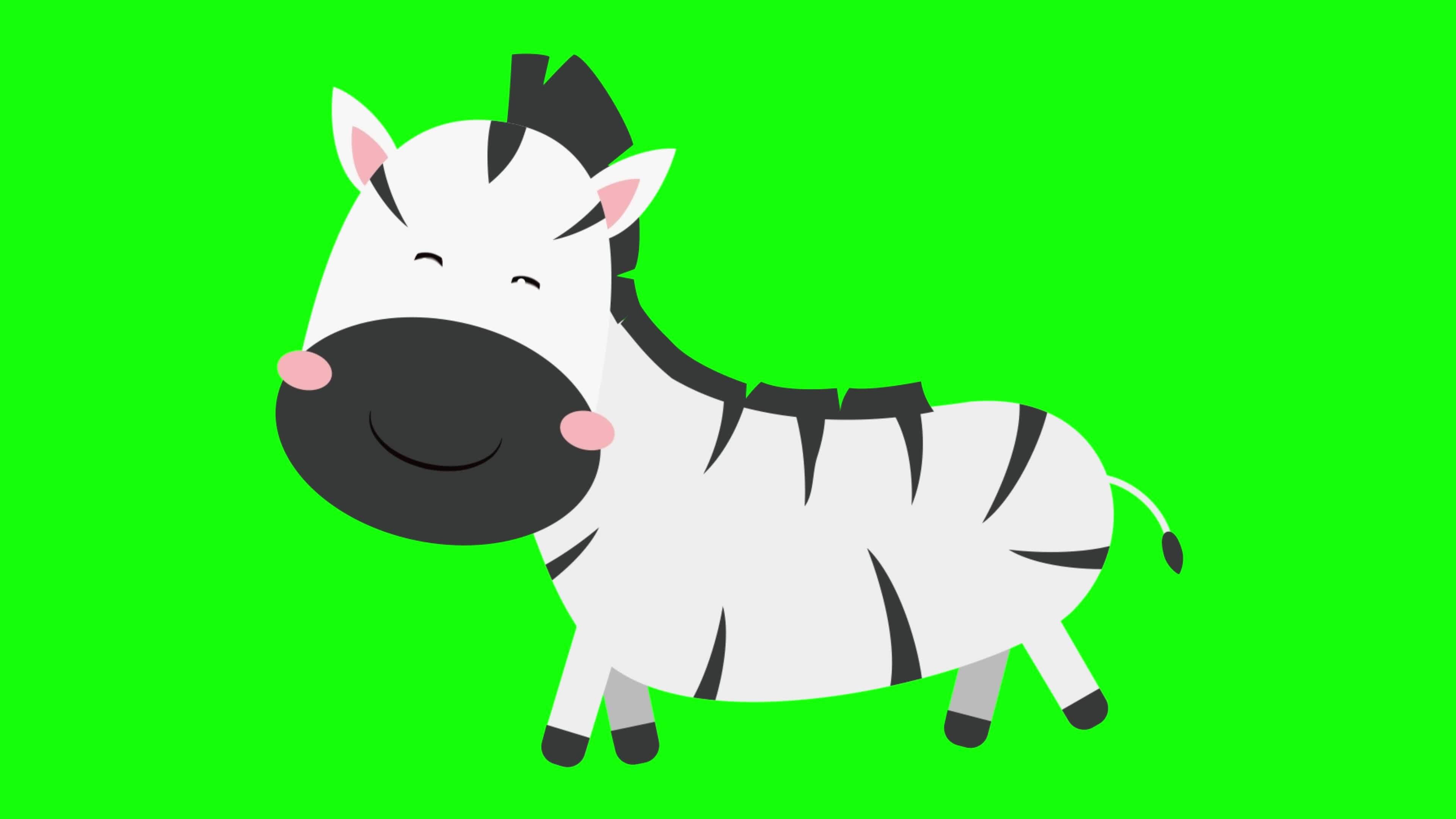 Zebra Animation Green screen, baby zebra animation, green screen