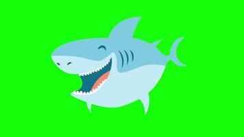 Shark fish Green screen animation, 2D funny shark fish green screen video