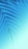 Sky blue  Leaf Shadow Gradient Verticle background, Light blue gradient background video