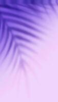roze en blauw blad schaduw helling verticaal achtergrond, licht helling achtergrond video