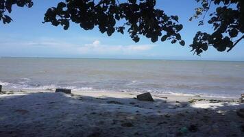 le bord de mer paysage combine mer vagues, bleu ciels et bord de mer des arbres video