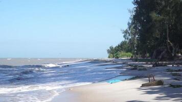 The beachside landscape combines sea waves, blue skies and beachside trees video