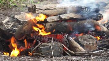 de vlammen van brandend traditioneel brandhout voordat wezen gebruikt naar rooster voedsel video