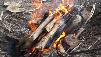 el llamas desde ardiente tradicional leña antes de siendo usado a parrilla comida video