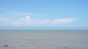 a beira-mar panorama combina mar ondas, azul céu e beira-mar árvores video