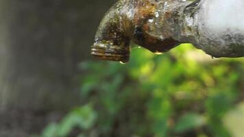 een volwassen Mens het wassen zijn handen in een schoon, rennen water kraan video