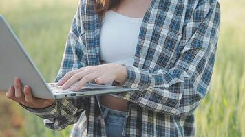 Smart farm. Farmer with tablet in the field. Agriculture, gardening or ecology concept. Harvesting. Agro business. video