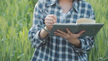 Smart farm. Farmer with tablet in the field. Agriculture, gardening or ecology concept. Harvesting. Agro business. video