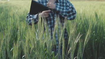 slim boerderij. boer met tablet in de veld. landbouw, tuinieren of ecologie concept. oogsten. agro bedrijf. video