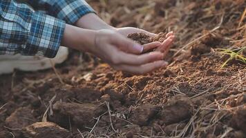 superiore Visualizza di suolo nel mani per dai un'occhiata il qualità di il suolo per controllo suolo qualità prima seme pianta. futuro agricoltura concetto. inteligente agricoltura, utilizzando moderno tecnologie nel agricoltura video