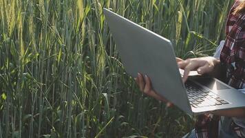 Smart farm. Farmer with tablet in the field. Agriculture, gardening or ecology concept. Harvesting. Agro business. video