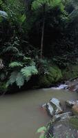 Bewegung Hintergrund Natur szenisch Wasserfall video