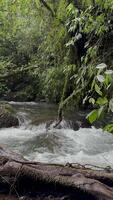 movimento sfondo natura panoramico fiume video