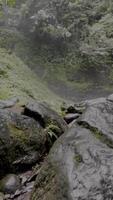 Bewegung Hintergrund Natur szenisch Wasserfall video