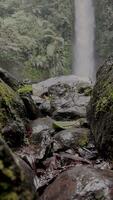 beweging achtergrond natuur toneel- waterval video