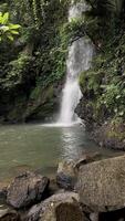 Bewegung Hintergrund Natur szenisch Wasserfall video