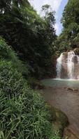 beweging achtergrond natuur toneel- waterval video