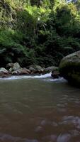 movimento sfondo natura panoramico fiume video