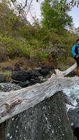 mouvement Contexte la nature gens sont relaxant sur le plage video