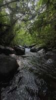 motion background nature scenic small river video