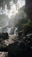 rörelse bakgrund natur naturskön vattenfall video