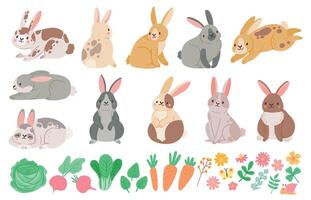 Cartoon cute spring rabbits, hares, flowers and vegetables. Bunny character jumping, sitting and sleeping. Brown and white rabbit vector set